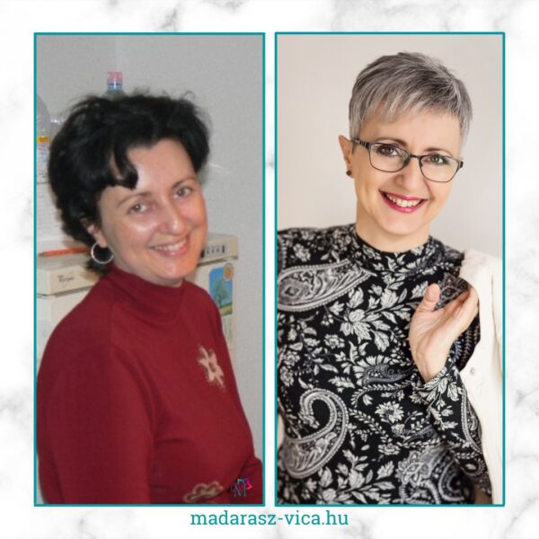 2006-2021 átalakulás