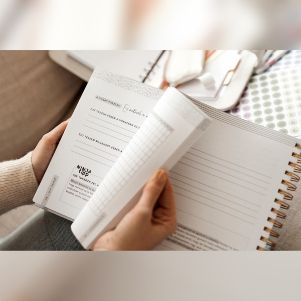 My Content Book - Socialight, STANDOM ajánlat