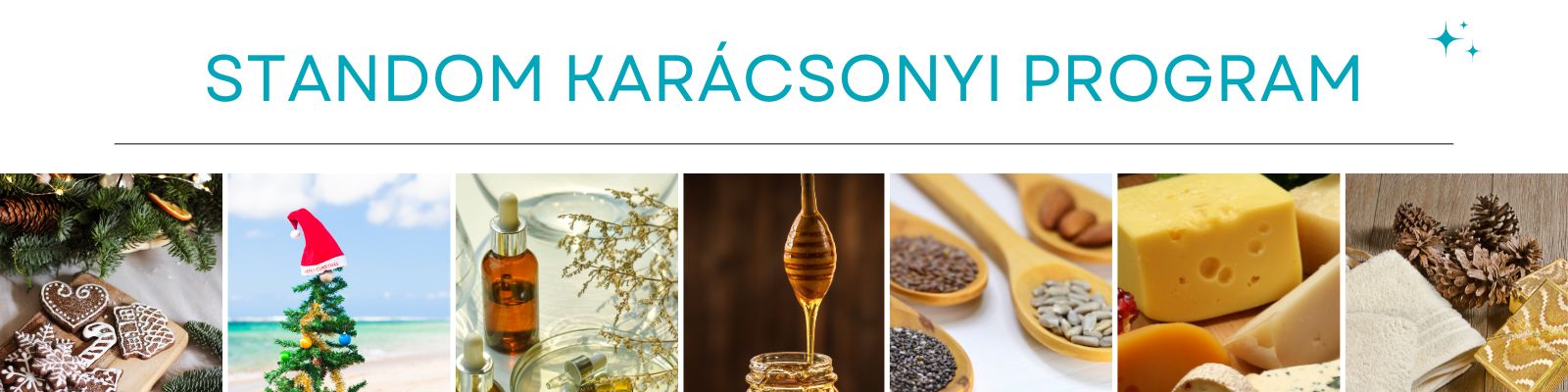 Karácsonyi program Kérdőív banner