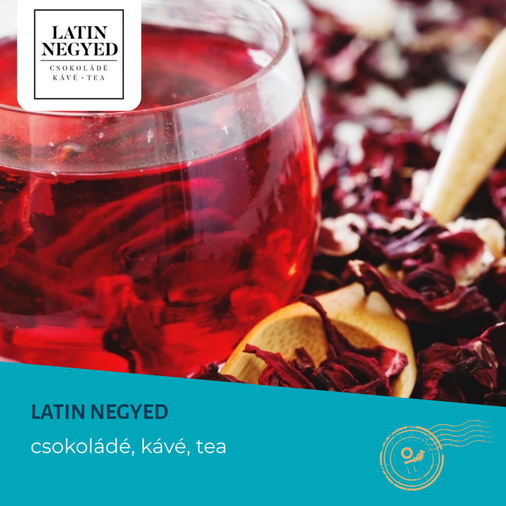 Latin Negyed - STANDOM Business Partner