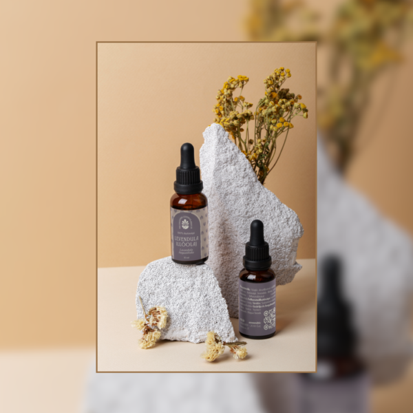 Nagybudméri Levendula - stand ajánlat